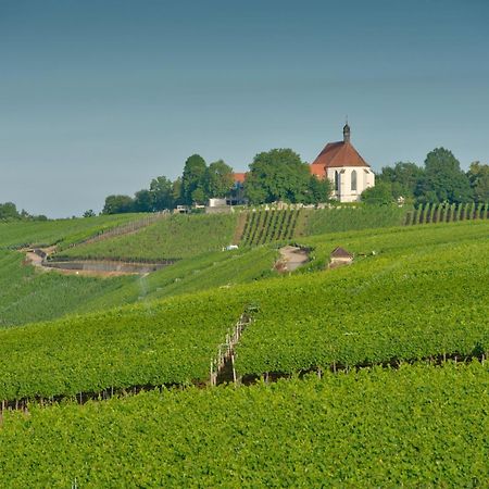Vogelsburg 호텔 Escherndorf 외부 사진