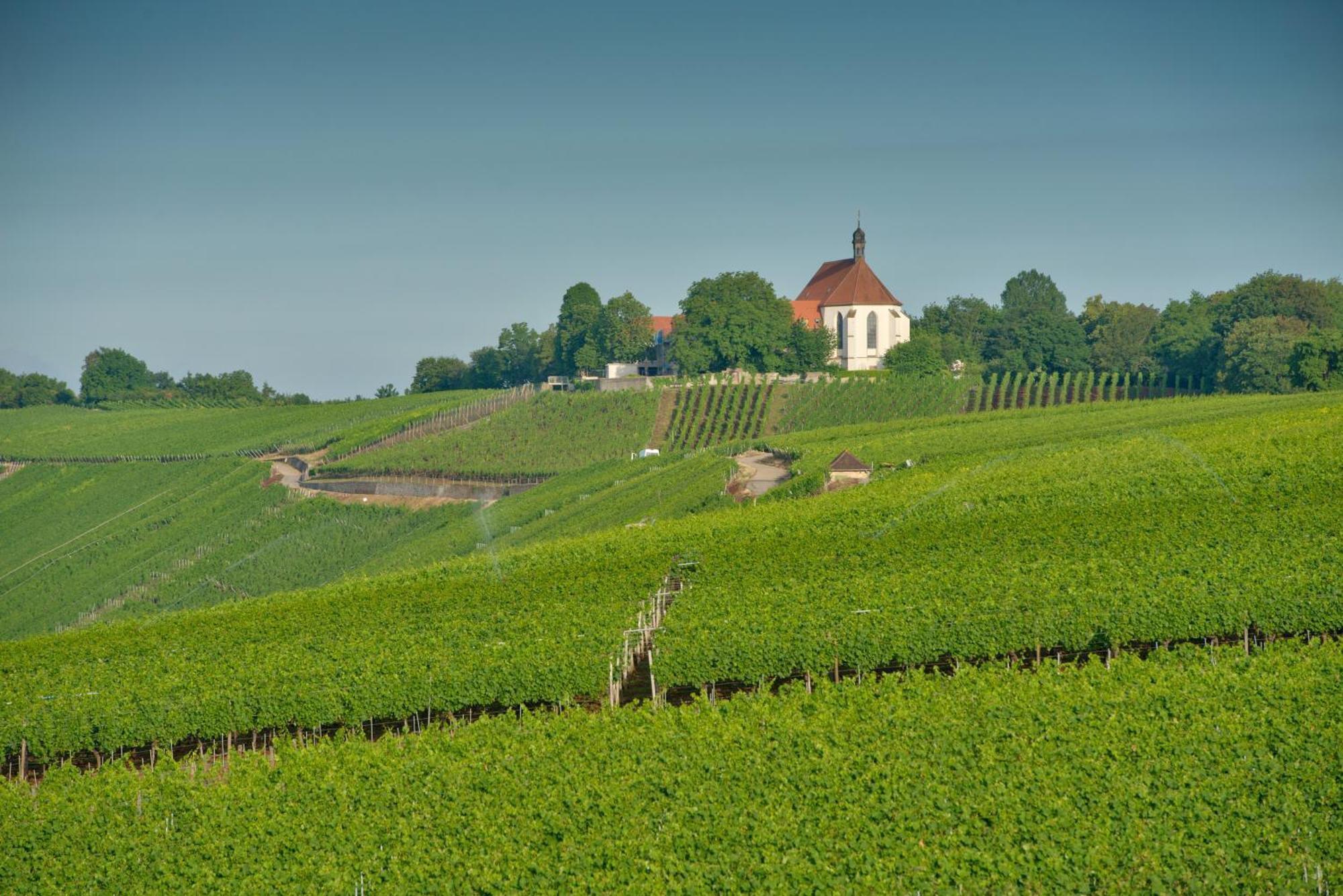 Vogelsburg 호텔 Escherndorf 외부 사진
