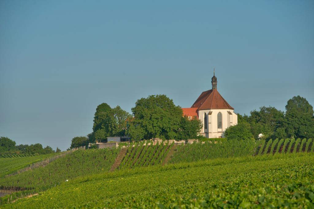 Vogelsburg 호텔 Escherndorf 외부 사진
