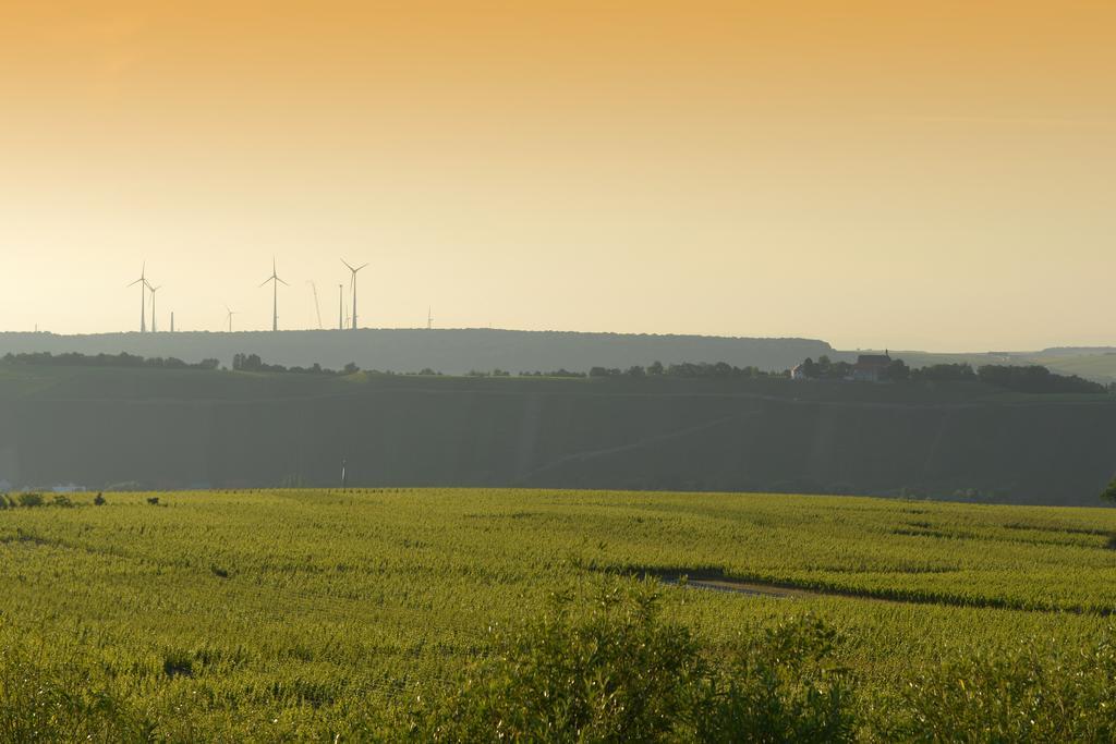 Vogelsburg 호텔 Escherndorf 외부 사진