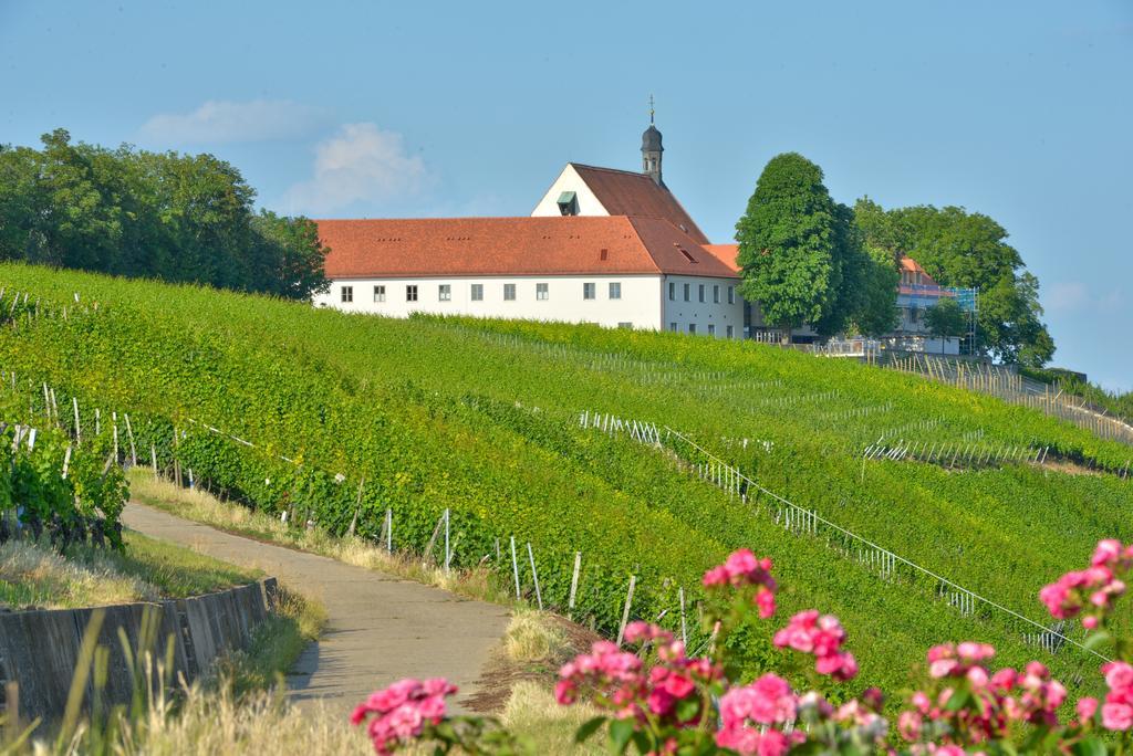 Vogelsburg 호텔 Escherndorf 외부 사진