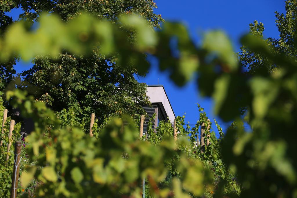 Vogelsburg 호텔 Escherndorf 외부 사진