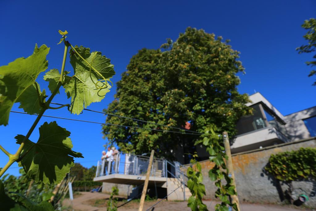 Vogelsburg 호텔 Escherndorf 외부 사진