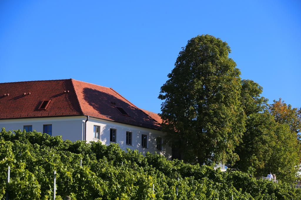 Vogelsburg 호텔 Escherndorf 외부 사진