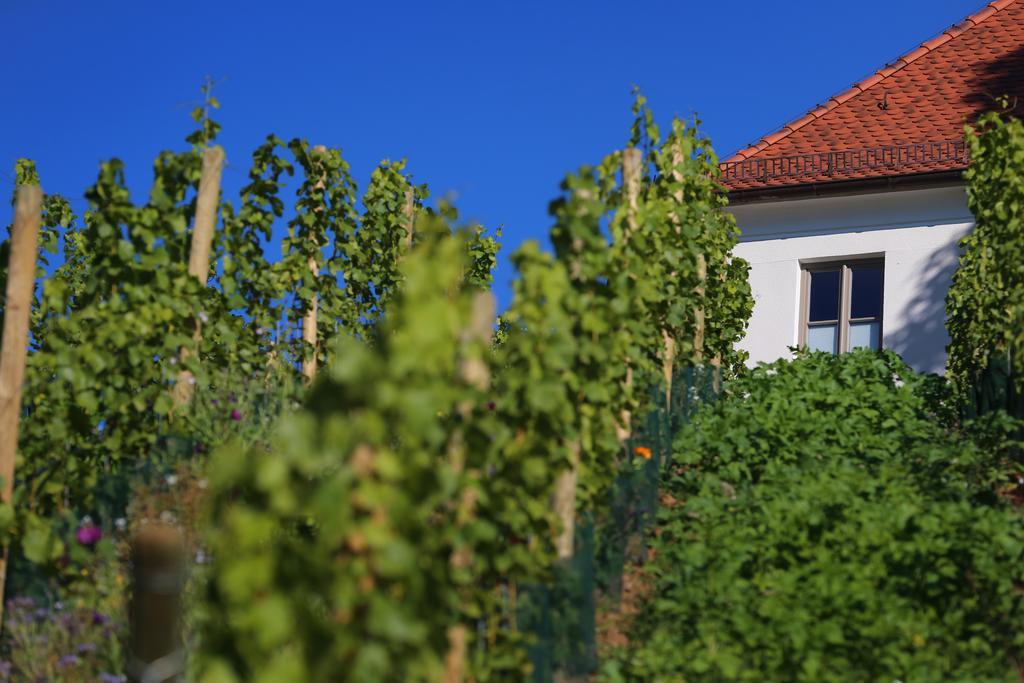 Vogelsburg 호텔 Escherndorf 외부 사진