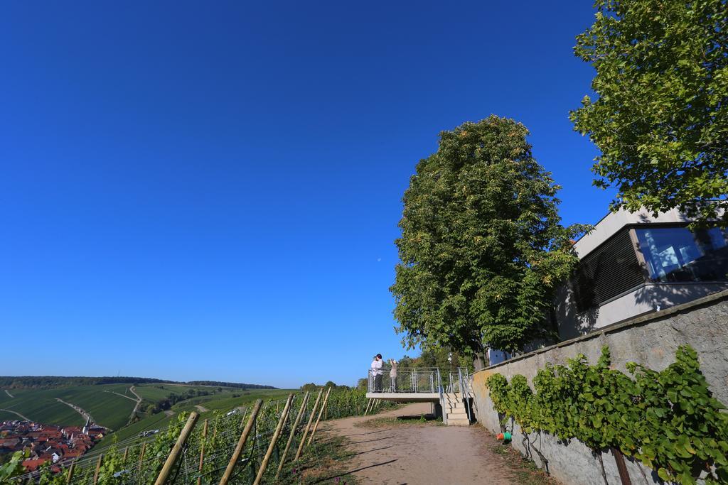 Vogelsburg 호텔 Escherndorf 외부 사진